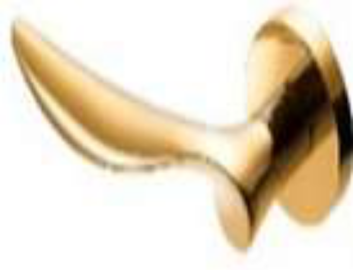 دستگیره درب Lombardi مدل R36L-PVD